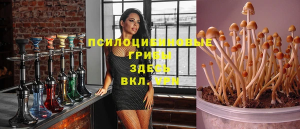 не бодяженный Алексин
