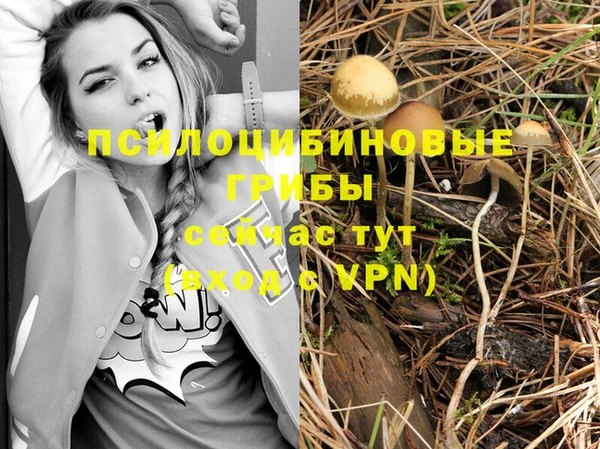 таблы Алексеевка