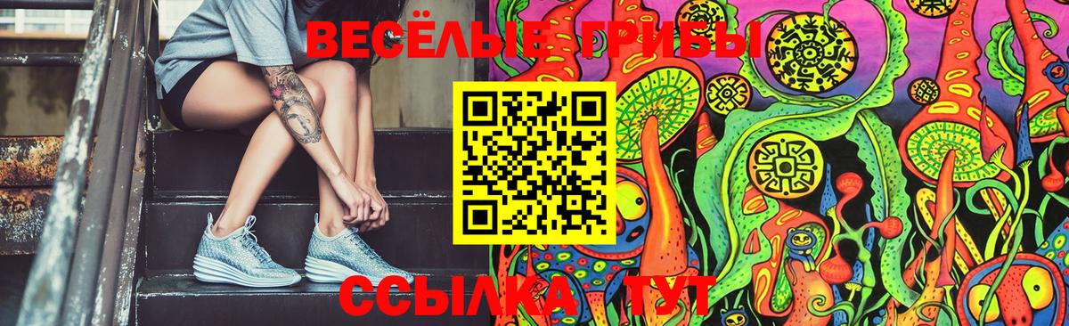 Псилоцибиновые грибы GOLDEN TEACHER Искитим