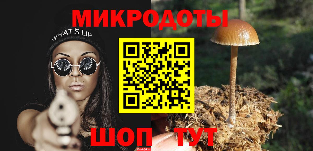 Искитим  Псилоцибиновые грибы мицелий  Вход с VPN 